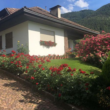Weingut Zundlhof Villa โบลซาโน ภายนอก รูปภาพ