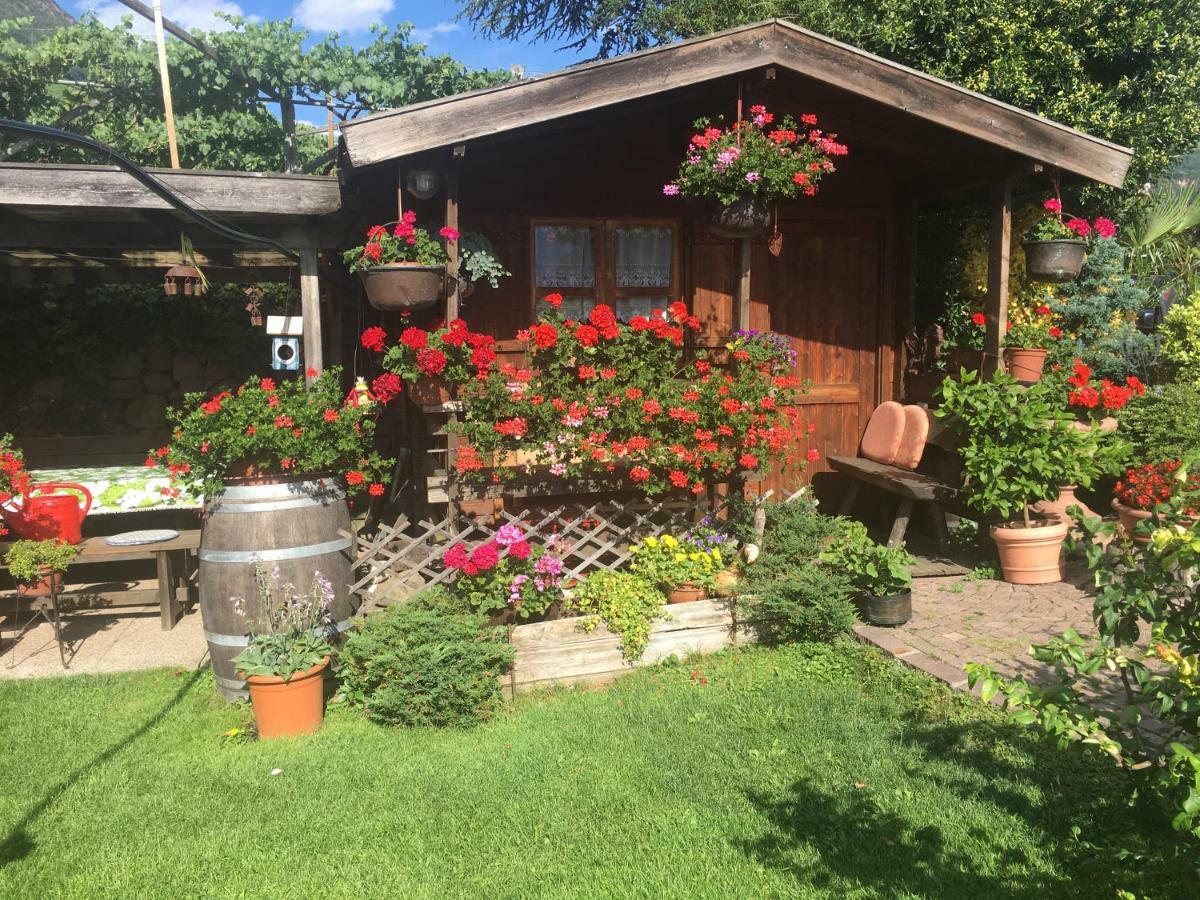 Weingut Zundlhof Villa โบลซาโน ภายนอก รูปภาพ